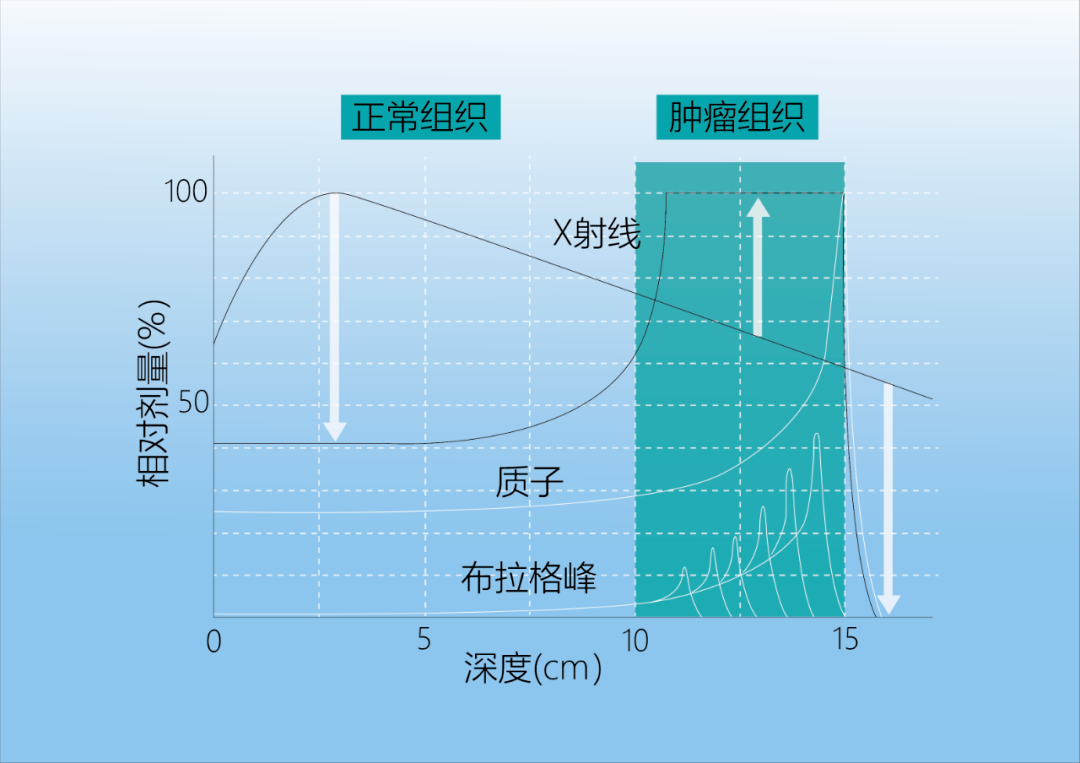 微信圖片_20230822151826.png